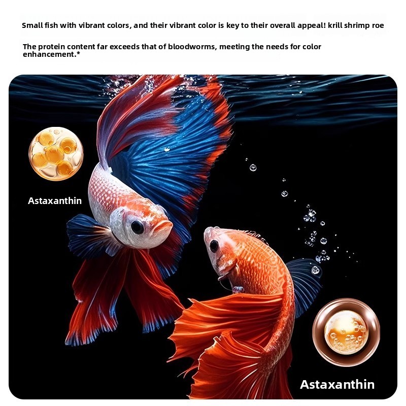 Yee Krill & Baby Shrimp Cibo s - Dry Food Baby recensione e prezzo